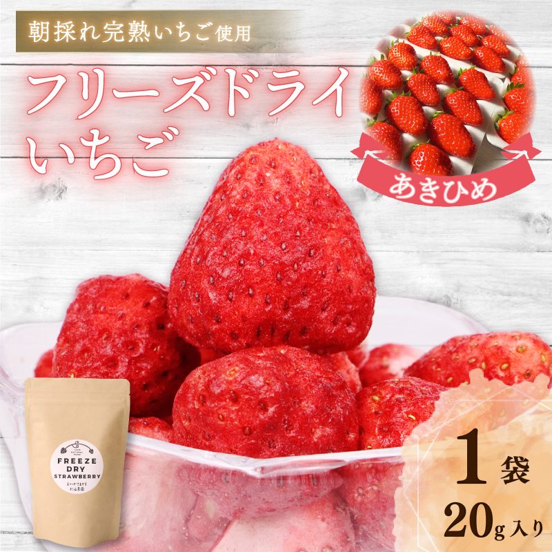 おかげさまです杉山農園のフリーズドライイチゴ 20g 朝摘み 【 ドライ いちご 】 ドライフルーツ 果物 いちご イチゴ 苺 フルーツ くだもの フリーズ デザート 完熟 果肉 くだもの  ストロベ