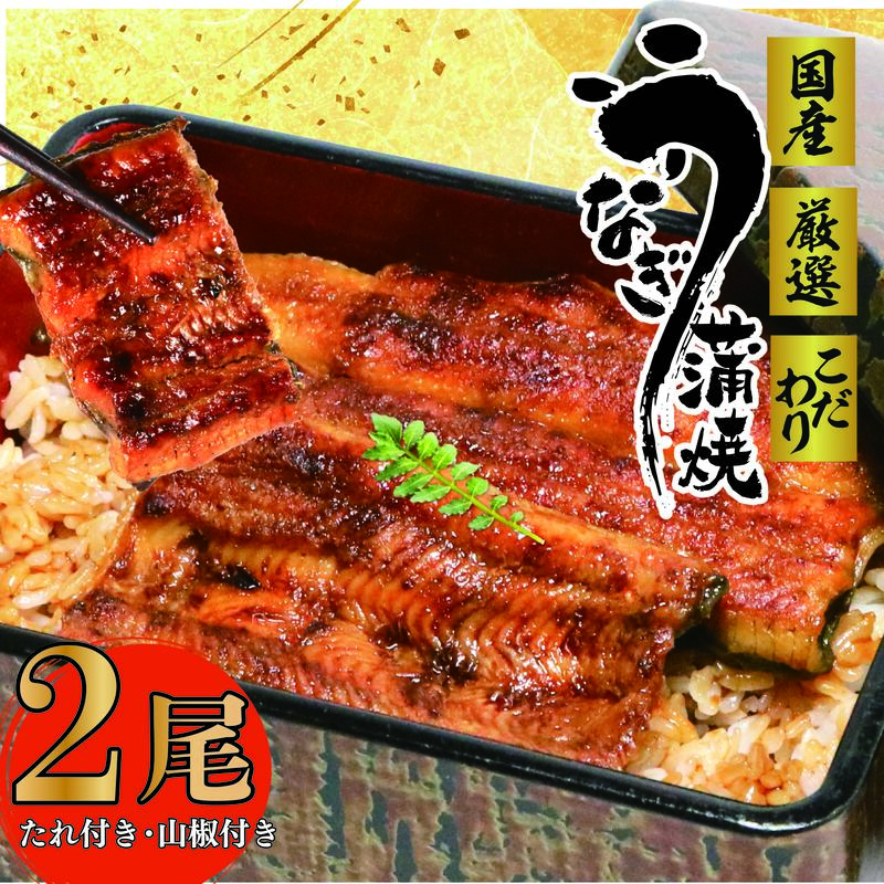 【国産】国産 うなぎ 2尾 蒲焼 タレ 付き 山椒 付き ウナギ 鰻 蒲焼き 自家製 たれ うな雄の鰻蒲焼 土用 丑の日   祝い プレゼント 贈答 ギフト 父の日 母の日 贈り物 お歳暮 お中元 丑