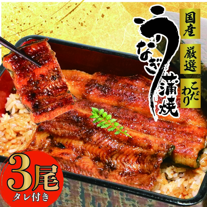 【国産】 国産 うなぎ 3尾 蒲焼 タレ 付き 山椒 付き ウナギ 鰻 蒲焼き 自家製 たれ うな雄の鰻 蒲焼 うなぎ ウナギ 土用の丑の日 土用 丑の日 国産 厳選 こだわり 人気 たれ たっぷり