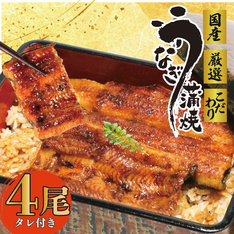 【国産】 うなぎ 4尾 蒲焼 タレ 付き 山椒 付き ウナギ 鰻 蒲焼き 自家製 たれ うな雄の鰻 蒲焼 うなぎ ウナギ 土用の丑の日 土用 丑の日 国産 厳選 こだわり 人気 たれ たっぷり うな重