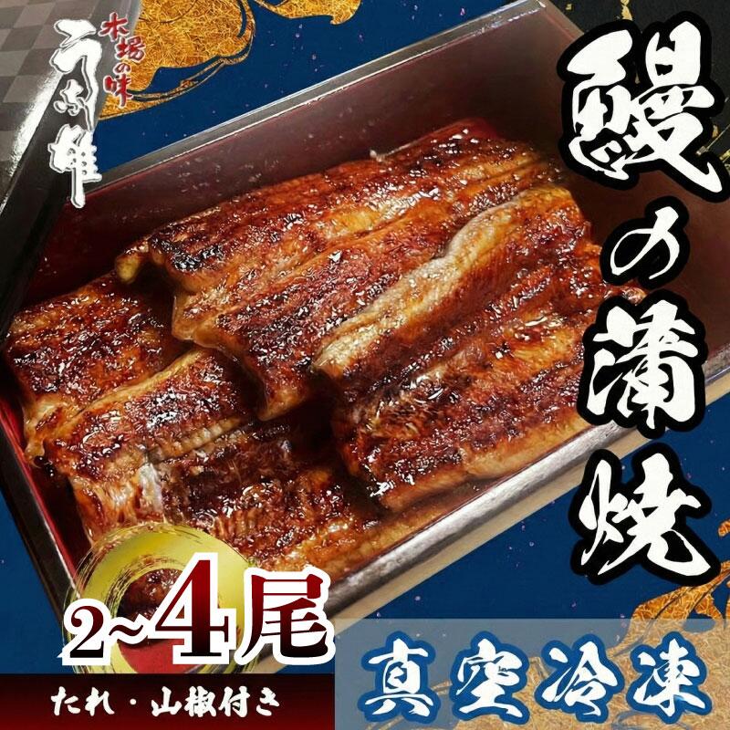【国産】 冷凍 国産 うなぎ 4尾 蒲焼 タレ 付き 山椒 付き 贈答用 ウナギ 鰻 蒲焼き 自家製 たれ うな雄の鰻 蒲焼 うなぎ ウナギ 土用の丑の日 土用 丑の日 国産 厳選 こだわり 人気