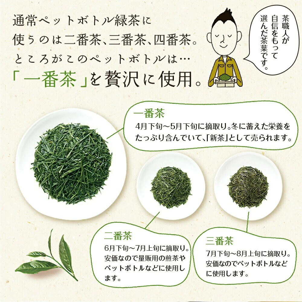 【緑茶】 500ml×48本 いなば園 静岡県産 一番茶 「茶匠庵ペットボトル緑茶」500ml × 24本 × 2 セット 緑茶 深蒸し茶 厳選 上品 旨み 高級 いなば園 伊藤園 お茶 ペットボトル