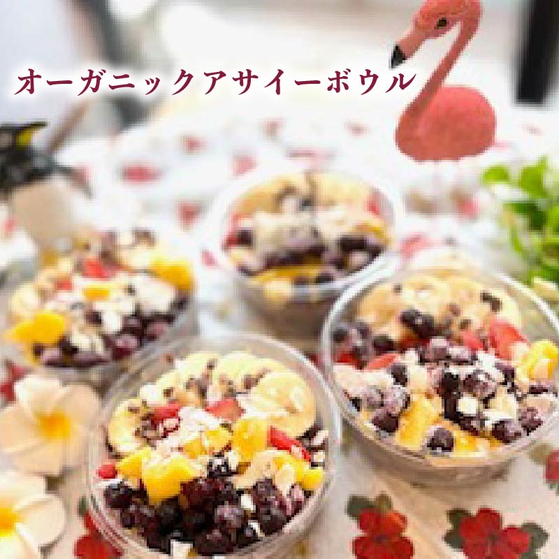 【定期便6ヶ月】 オーガニック スイーツ 6種類 果実 果物 ケーキ タルト チーズケーキ りんごタルトアサイーボウル ブルーベリータルト マンゴータルト 林檎タルト チョコ チョコタルト shop NATTY