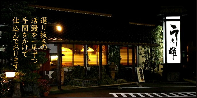 うな雄 お食事券（1万円分）鰻 名店 自家製ダレ 人気 美味 うなぎ ウナギ 食事券 ギフト プレゼント ギフト券 チケット 土用 の 丑 土用 丑の日 土用の丑の日 贈り物 贈答用 贈答 ギフト 人