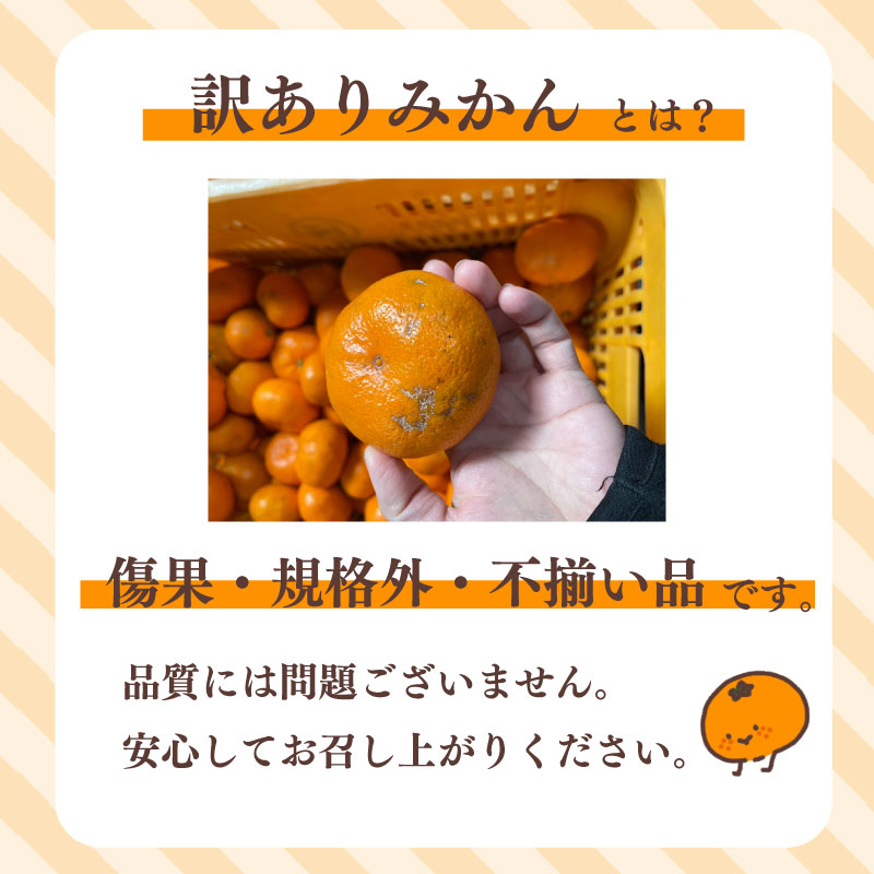 【数量限定】訳あり みかん 青島 みかん 約 5kg 先行予約 2026年 12月 下旬 から 発送 期間限定 青島みかん あおしまみかん アオシマ ミカン 蜜柑 mikan 柑橘 果物 フルーツ 牧之原市 minorien