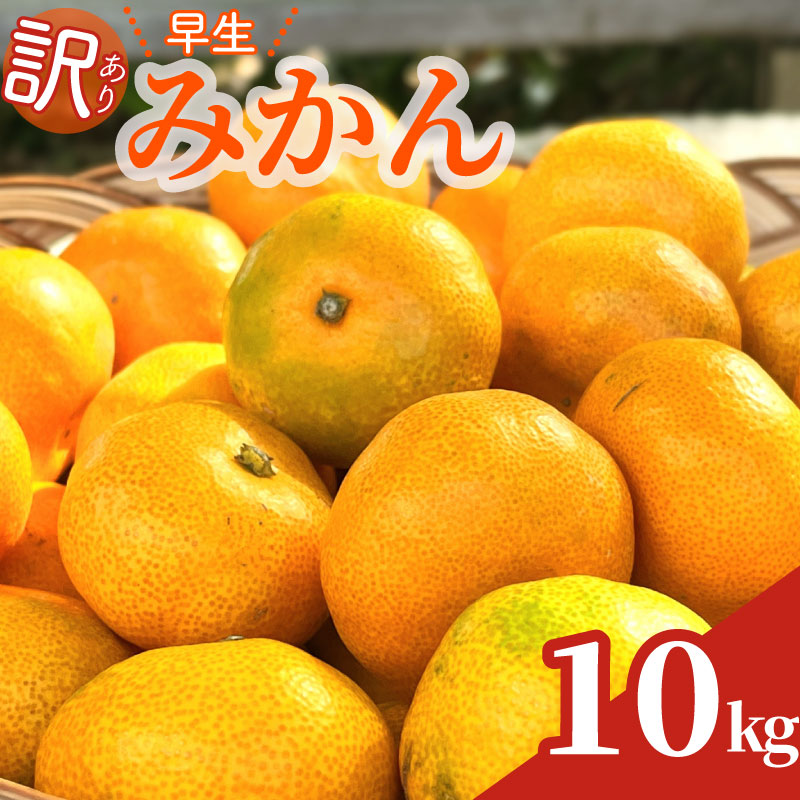 【数量限定】訳あり 早生みかん 約10kg 興津 早生 温州 みかん 先行予約 2026年 11月 上旬 から 発送 期間限定 早生みかん わせみかん ミカン 蜜柑 mikan 柑橘 果物 牧之原市 minorien