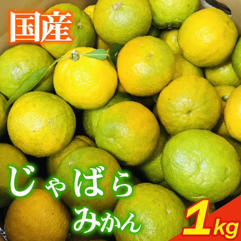 【先行予約 11月から順次発送 1kg 】いたくら農園直送 じゃばら 1kg 11月中旬～12月発送 柑橘 みかん いたくら農園果汁 果実 農家直送 産地直送贈答 お中元 濃厚 旨味 季節 果汁 ミカ