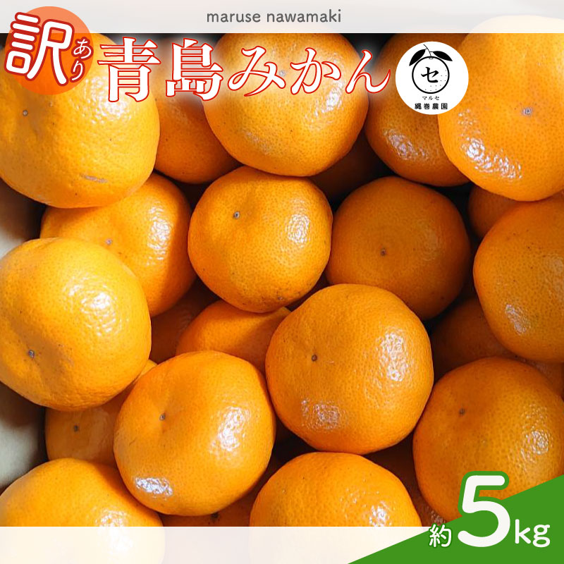 【訳あり】みかん 青島 みかん 約 5kg 先行予約  2026年 12月 中旬 から 発送 青島みかん あおしまみかん アオシマ ミカン 蜜柑 mikan 柑橘 果物 フルーツ ふるーつ マルセ縄巻農園 牧之原市