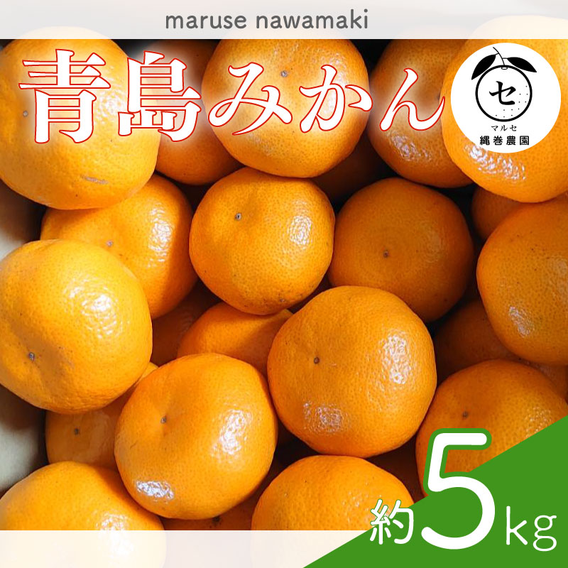 【数量限定】みかん 青島 みかん 約 5kg 先行予約  2026年 12月 中旬 から 発送 青島みかん あおしまみかん アオシマ ミカン 蜜柑 mikan 柑橘 果物 フルーツ ふるーつ マルセ縄巻農園 牧之原市