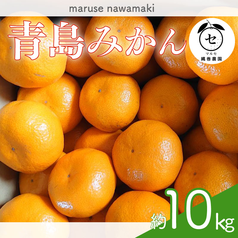 【数量限定】みかん 青島 みかん 約 10 kg 先行予約 2026年 12月 中旬 から 発送 青島みかん あおしまみかん アオシマ ミカン 蜜柑 mikan 柑橘 果物 フルーツ マルセ縄巻農園 牧之原市
