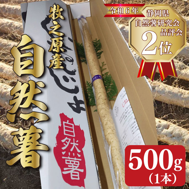 【 予約受付 】自然薯 500g 1本 じねんじょ 山芋 ヤマイモ 山いも とろろ とろろ汁 国産 滋養強壮 強壮 とろろご飯 ご飯のお供  栄養 美味しい おいしい 自宅用 家庭用 贈答用 やまあい農園