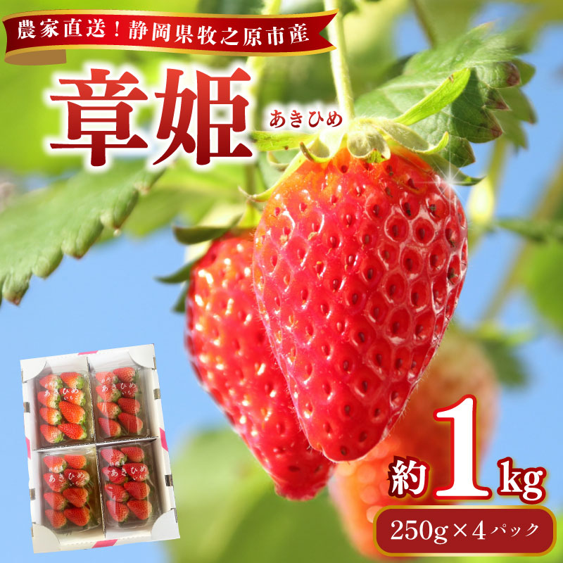 【先行予約】章姫 250g×4パック 約1kg以上 苺 あきひめ 章姫 イチゴ 果物 数量限定 いちご イチゴ 苺 フルーツ くだもの スイーツ デザート ストロベリー おやつ 直送 ギフト 家庭用