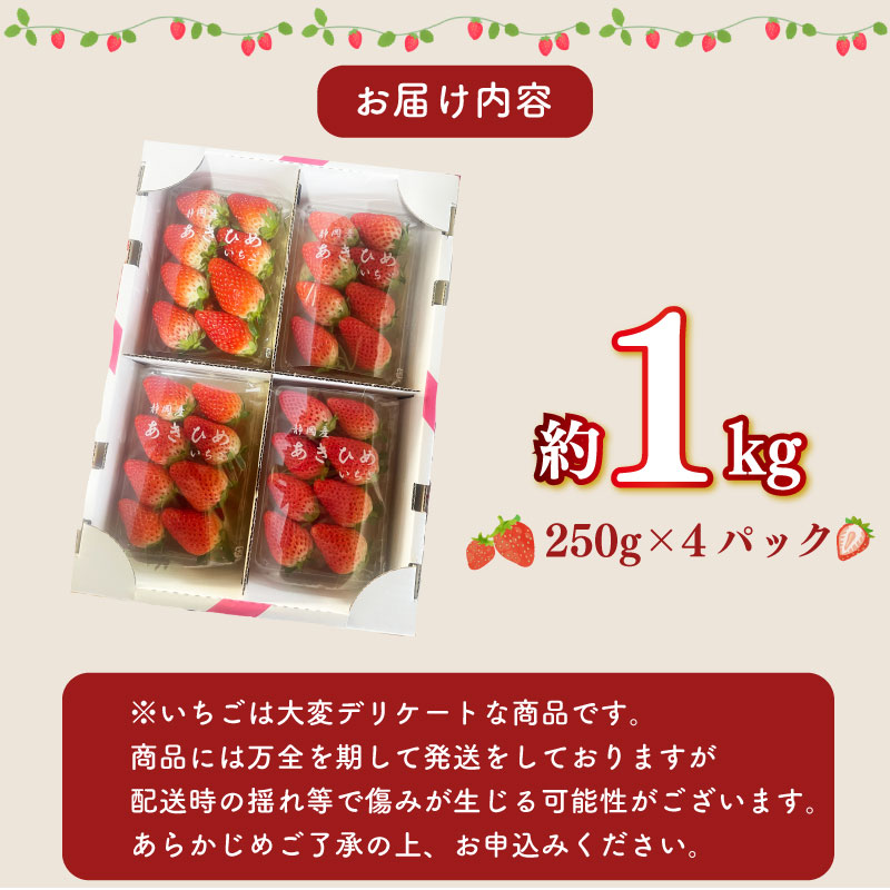 【先行予約】章姫 250g×4パック 約1kg以上 苺 あきひめ 章姫 イチゴ 果物 数量限定 いちご イチゴ 苺 フルーツ くだもの スイーツ デザート ストロベリー おやつ 直送 ギフト 家庭用