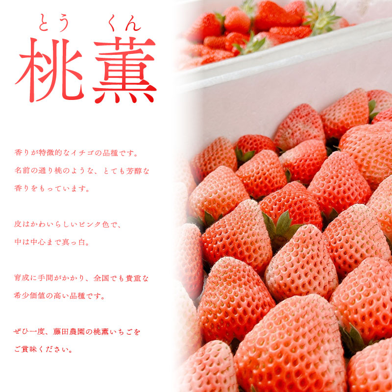 いちご ジェラート 6個 章姫 桃薫 あきひめアイス フルーツ スイーツ デザート くだもの 果物 ストロベリー 甘い おいしい 濃厚 アイスクリーム 冷凍 冷凍食品 氷菓 ご褒美 ご褒美スイーツ 藤田農園
