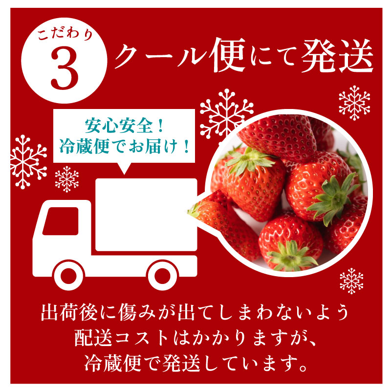 【数量限定】紅ほっぺ 1400g いちご 素入れ ゆりかーご 土耕栽培 フルーツ 果物 スイーツ 朝摘み 直送 完熟 ギフト 家庭用 贈答 農家直送 産地直送 国産 森木農園 静岡県 牧之原市 ～土耕栽培だから濃くて甘い!～