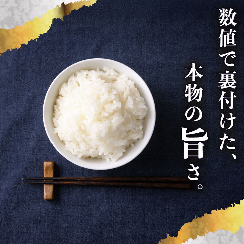 令和8年度産 2kg 選べる 精米 玄米 お米 コシヒカリ 2kg 数量限定 お米 白米 新米 精米 ご飯 白 ごはん 産直 おむすび ギフト プレゼント