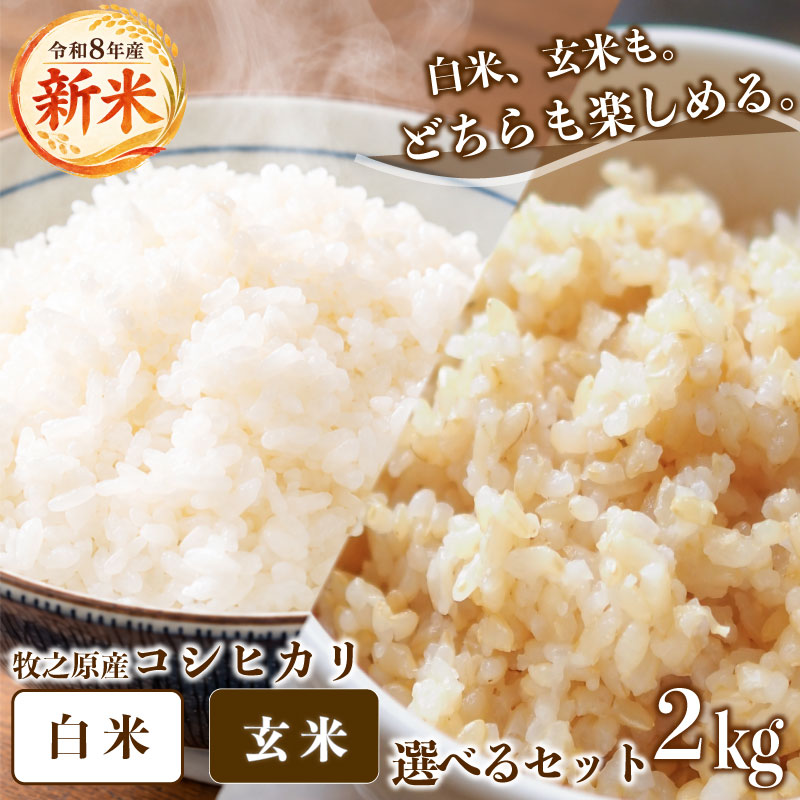 令和8年度産 2kg 選べる 精米 玄米 お米 コシヒカリ 2kg 数量限定 お米 白米 新米 精米 ご飯 白 ごはん 産直 おむすび ギフト プレゼント