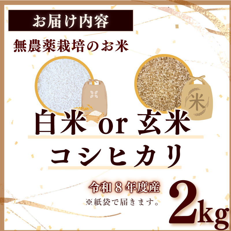 令和8年度産 2kg 選べる 精米 玄米 お米 コシヒカリ 2kg 数量限定 お米 白米 新米 精米 ご飯 白 ごはん 産直 おむすび ギフト プレゼント