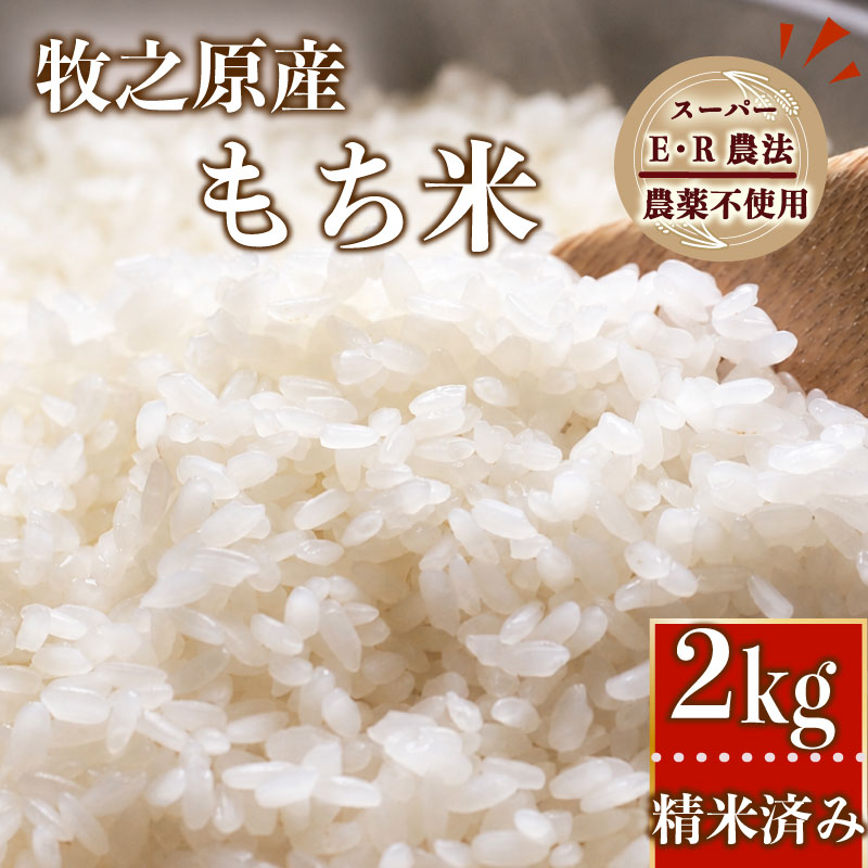 【特別栽培米 もち米】特別栽培米 国産 もち米 2kg お米 数量限定 もち米 もちごめ 餅米 もち精米 国産 大澤農園