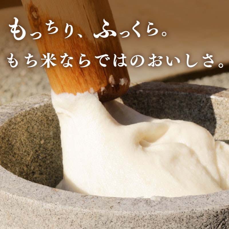 【特別栽培米 もち米】特別栽培米 国産 もち米 2kg お米 数量限定 もち米 もちごめ 餅米 もち精米 国産 大澤農園