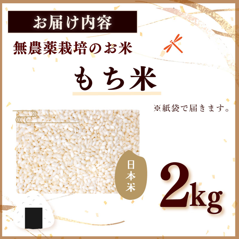 【特別栽培米 もち米】特別栽培米 国産 もち米 2kg お米 数量限定 もち米 もちごめ 餅米 もち精米 国産 大澤農園