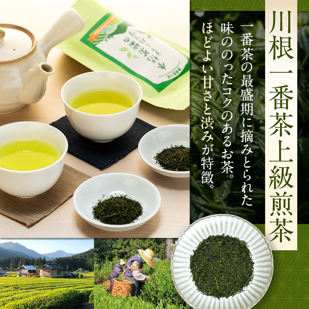 お茶 ティーバッグ 静岡  / 煎茶本格茶葉の手間なしティーバッグ3袋