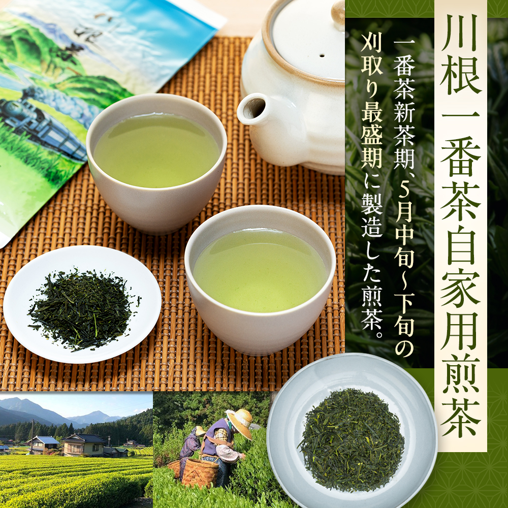 お茶 茶葉 静岡 煎茶 / 自家用煎茶 100g×4