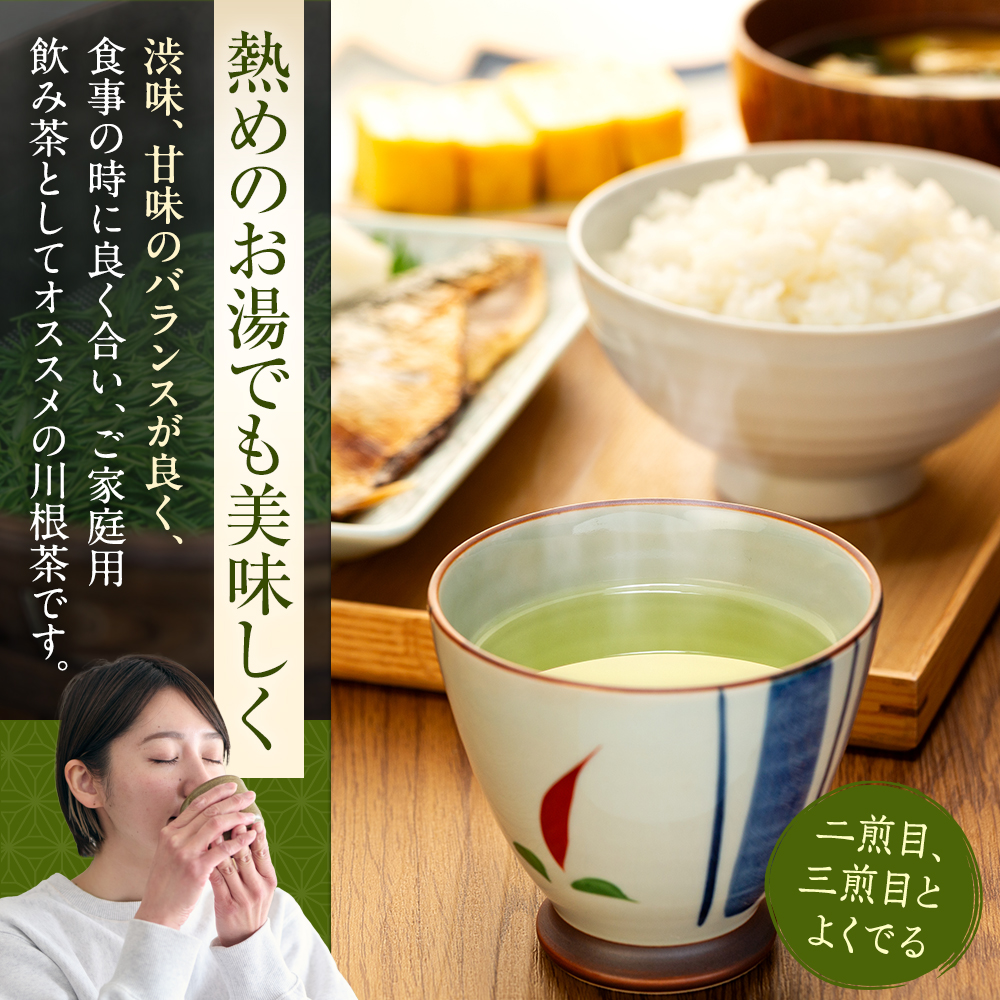 お茶 茶葉 静岡 煎茶 / 自家用煎茶 100g×4