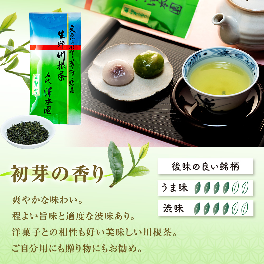 お茶 茶葉 静岡 煎茶/ 生粋川根茶澤本園 ふるさとありがとう26