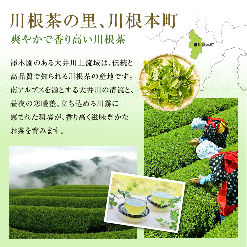 お茶 茶葉 静岡 煎茶/ 生粋川根茶澤本園 ふるさとありがとう26