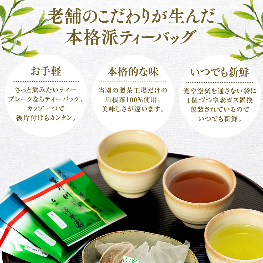 お茶 ティーバッグ 静岡 緑茶 ほうじ茶 玄米茶 / 煎茶生粋川根茶澤本園 ふるさとありがとう15