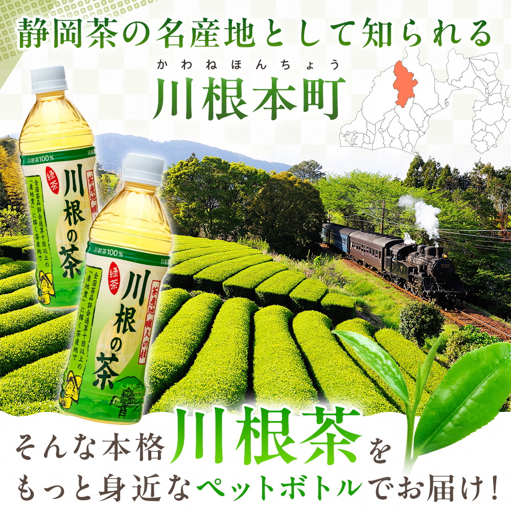 【定期便】「川根の茶」ペットボトル　毎月1ケースを4ヶ月