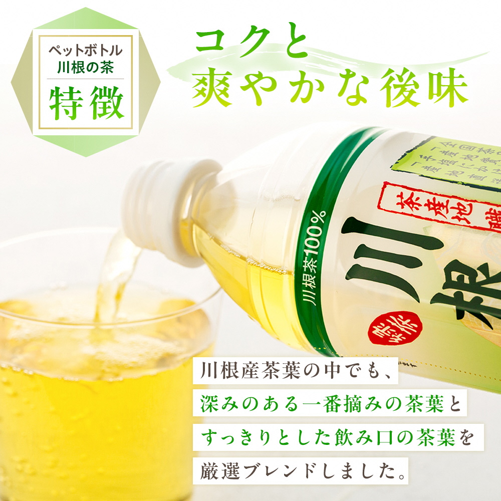 【定期便】「川根の茶」ペットボトル　毎月1ケースを4ヶ月
