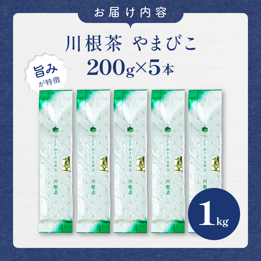 川根茶 どっさり ご家庭用飲み茶 1ｋｇセット やまびこ　200ｇ袋×５本