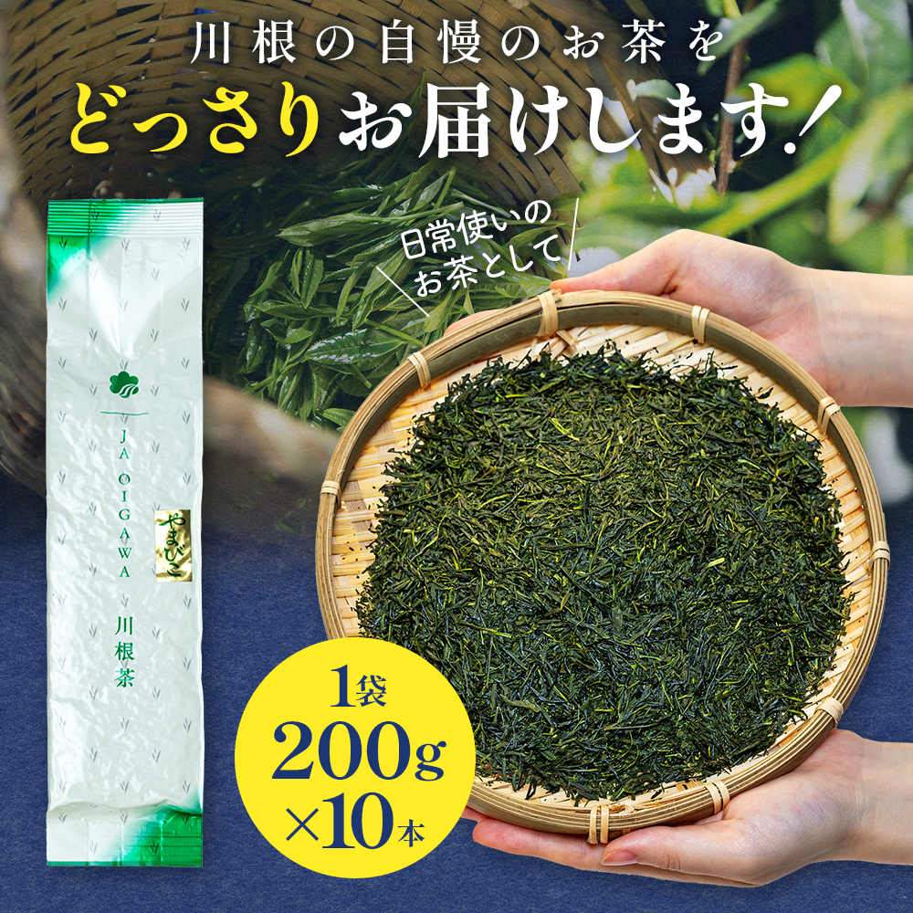 川根茶 どっさり ご家庭用飲み茶2kg セット やまびこ 200ｇ袋×10本