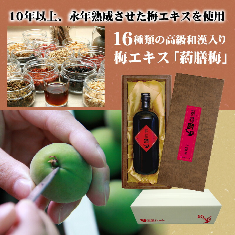 和漢入り梅エキス 葯膳梅 国産梅 健康飲料  無添加 15年以上 永年熟成 H001-063