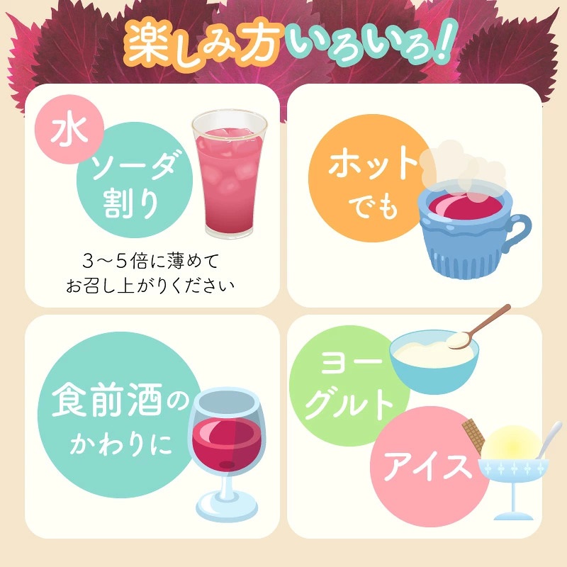 一番摘み赤しそドリンク 選べる 本数 300ml （1～2本） 数量限定 18年熟成 梅寿酢仕立て 赤しそ 国産梅 18年以上 熟成 清涼飲料水 シロップ 七福醸造 愛知県 碧南市 H001-120 H001-121