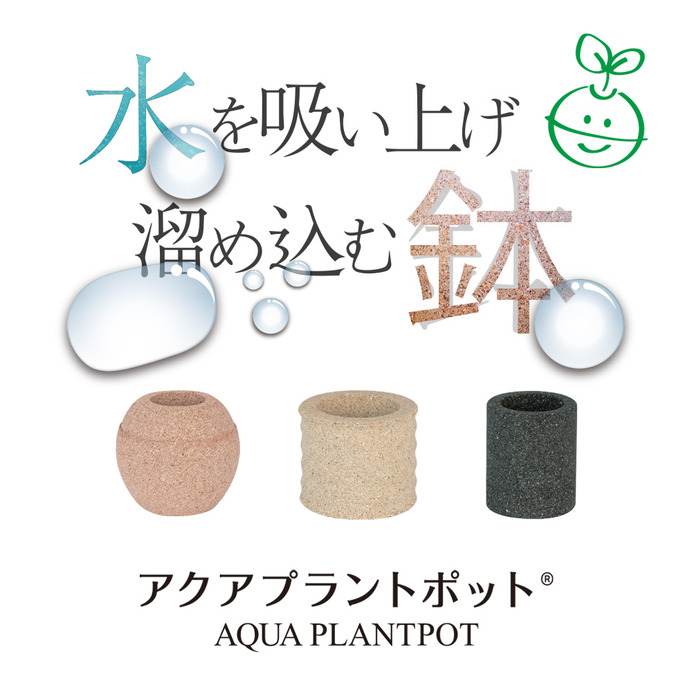 【選べる容器】アクアプラントポット(R) 植木鉢 パキラ