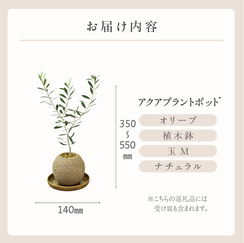 アクアプラントポット(R)  植木鉢 オリーブ