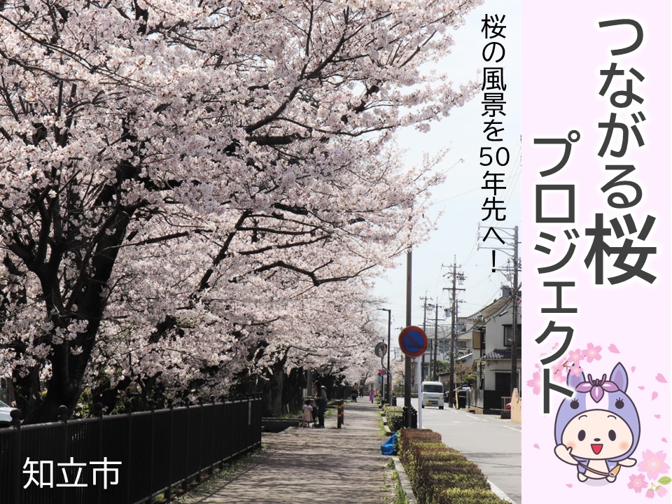 【返礼品なし】「つながる桜プロジェクト」に対する応援寄附