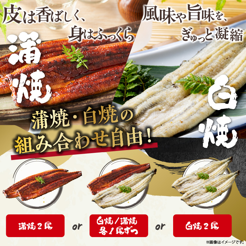 三河一色産 最高級うなぎセット 特大2尾 計500g(冷蔵配送)(蒲焼・白焼組合せ自由)(1697)
