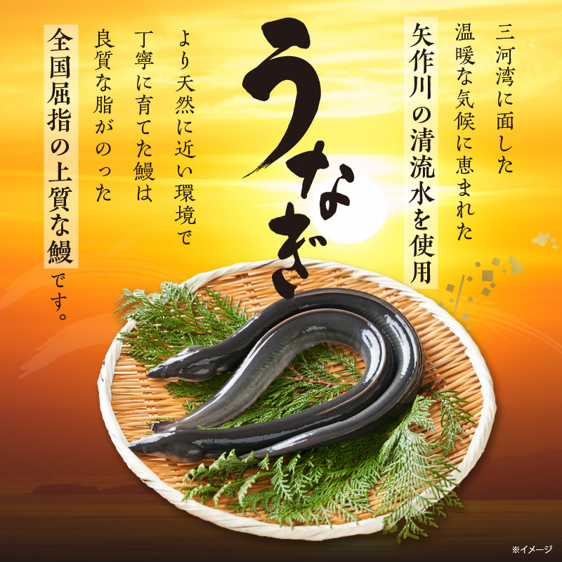 三河一色産 最高級うなぎセット 特大2尾 計500g(冷蔵配送)(蒲焼・白焼組合せ自由)(1697)
