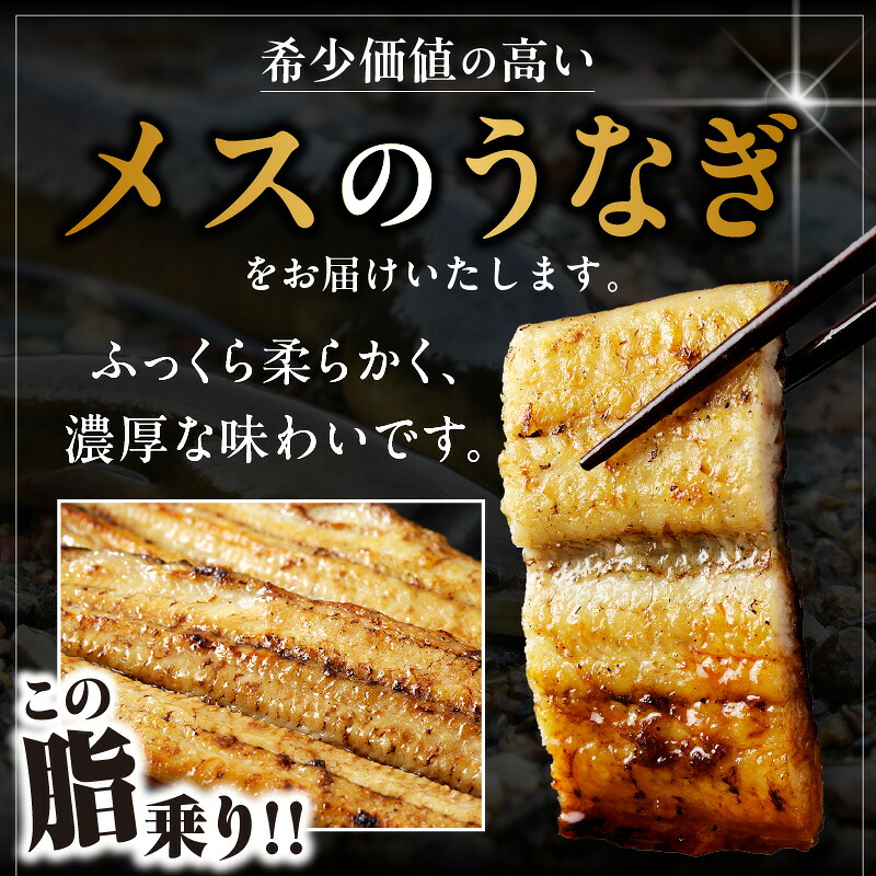 三河高浜産三代目養鰻家の白焼きうなぎ 特大2尾【選べるお届け回数】 _74-517