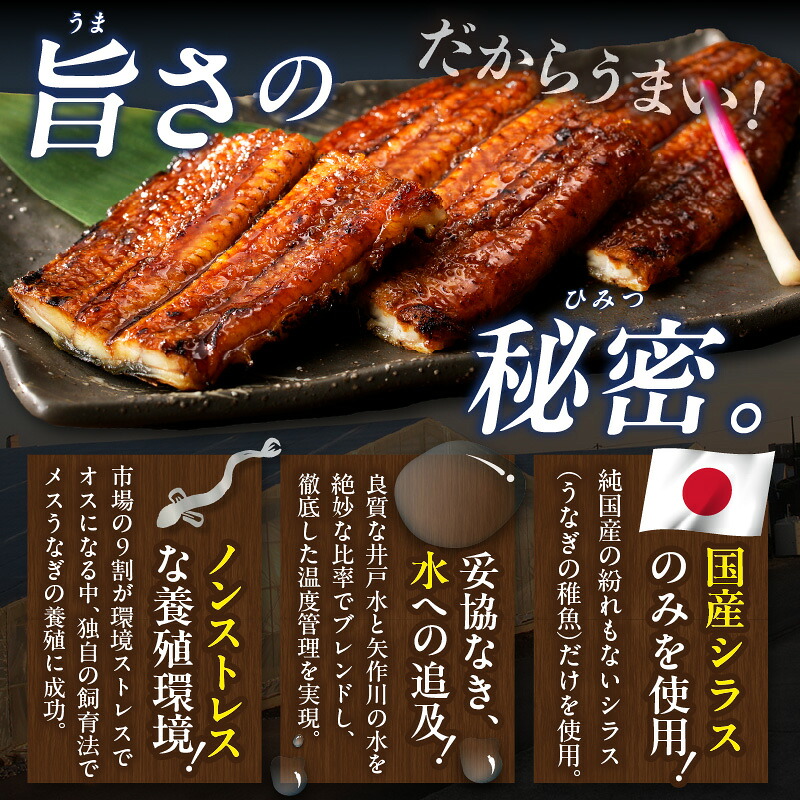 三河高浜産三代目養鰻家の白焼きうなぎ 特大2尾【選べるお届け回数】 _74-517