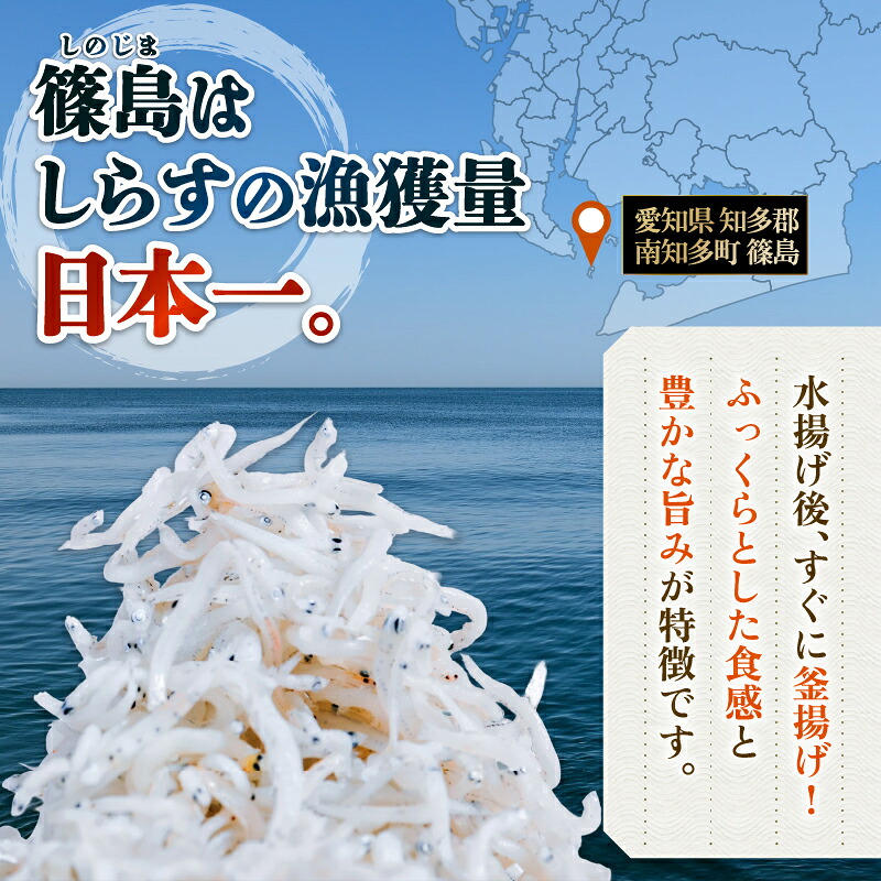 種類と容量選べる ちりめんじゃこ ふりかけ 鮭 梅 計200-400g 各100g 南知多篠島産 大一商店 愛知県 南知多町