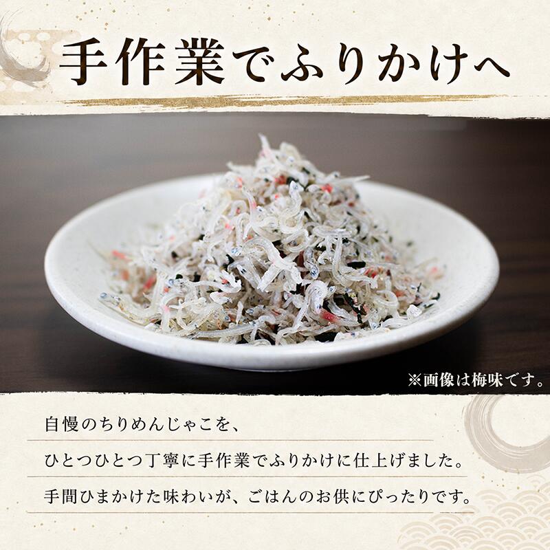 種類と容量選べる ちりめんじゃこ ふりかけ 鮭 梅 計200-400g 各100g 南知多篠島産 大一商店 愛知県 南知多町