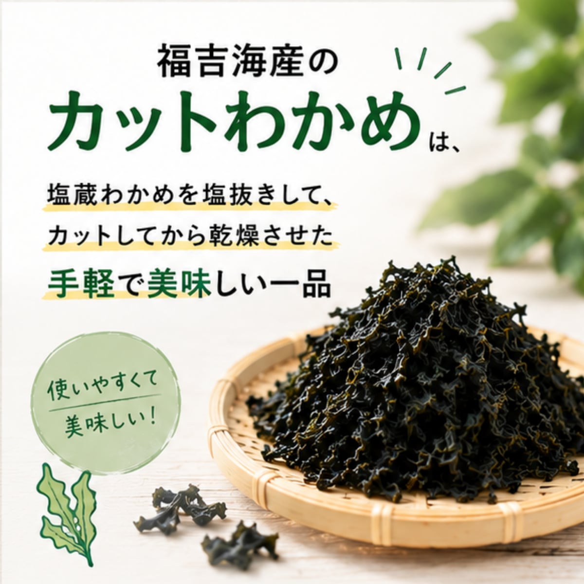 選べる 訳あり カットわかめ 45g 150g チャック袋入 お味噌汁 和物 ごはん 丼 サラダ 海藻 料理 愛知県 南知多町 ワカメ わかめ 海藻類 おすすめ おいしいワカメ お米 に合う