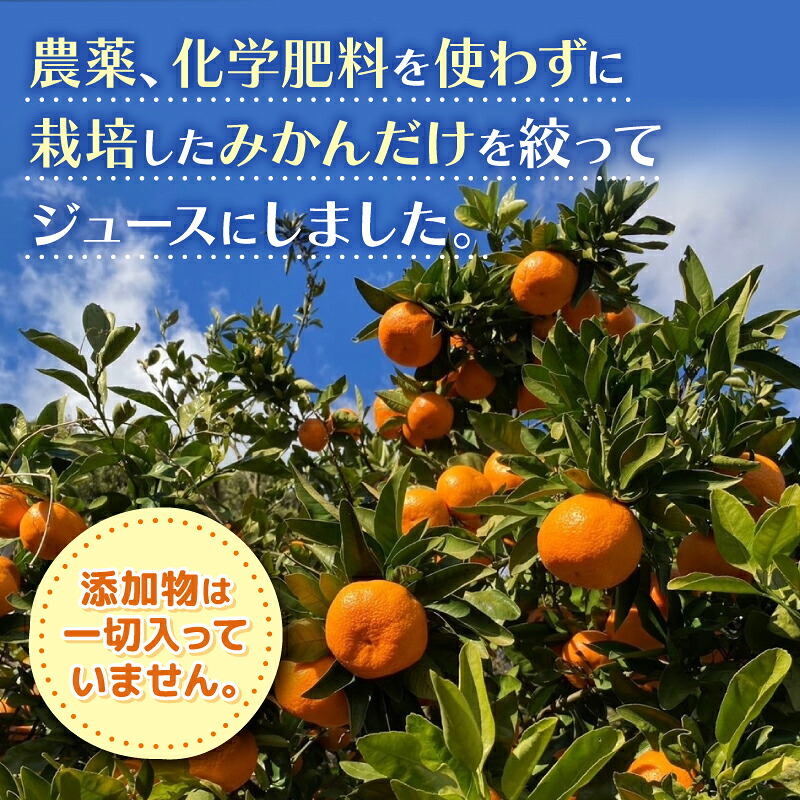 選べる 果汁100％ みかんジュース 1000ml×6本 180ml×30本 無農薬 無添加 濃厚 みかん ジュース 炭酸 清涼飲料水 夏 蜜柑 炭酸ジュース みかん ジュース みかん ジュース みかん ジュース みかん ジ