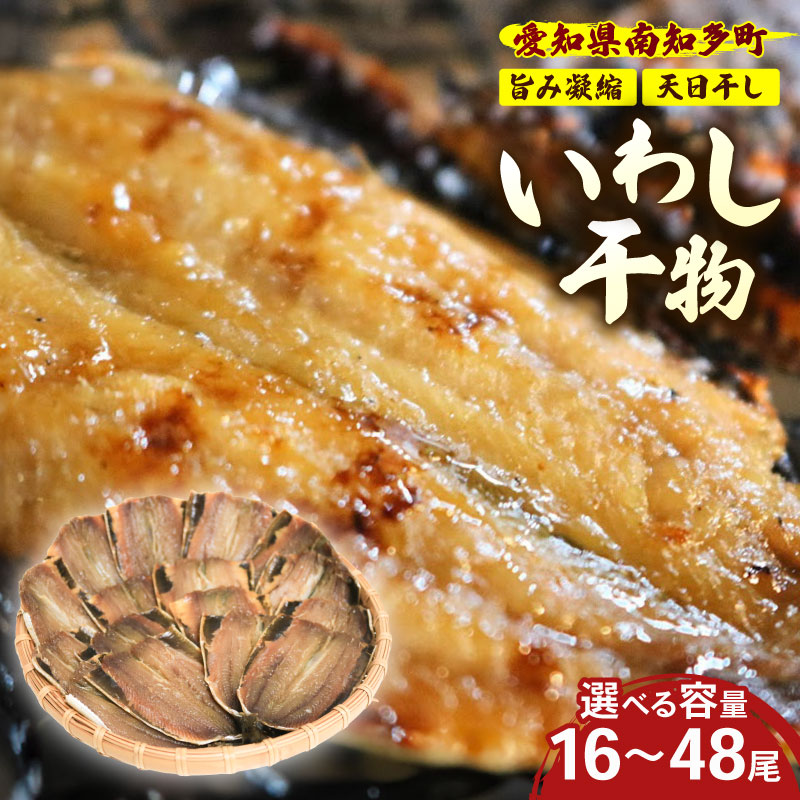 訳あり いわし 干物 16尾-48尾 冷蔵 パック