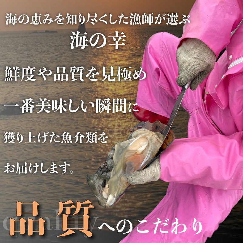 愛知県産白ミル貝(ナミガイ) 干物セット (塩味･醤油味 各1パック) 冷凍 干物 しお しょうゆ 塩 醤油 愛知県 南知多町 愛知県干物 南知多町干物 白みる貝 ミル貝 貝類 貝 ふるさと納税貝